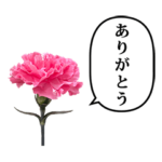 カーネーション　と　ふきだし