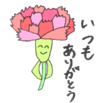 カーネーションズ　お花　感謝　母の日