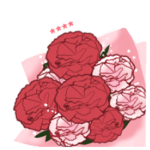 母の日カーネーションカスタムスタンプ