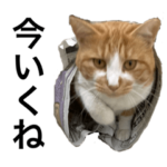 ちゃちゃまるる〜スタンプ