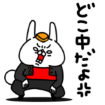 全力うさぎ反抗期の子どもかっ！編