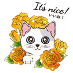 飛び出す！猫と花の庭