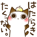 ちょこさん。～無気力な猫～