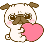 パグちゃん♡家族連絡