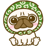 ほっかむりパグちゃん