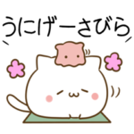 沖縄方言のねことめんだこ