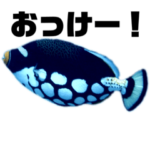 実写！沖縄の生き物