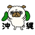 沖縄のパグさん