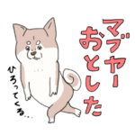 まいにち柴犬さぁ！