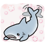 生活感のあるサメ3