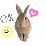 うさぎのちゅん♬