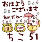 専用51<おはようパック>