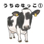 うちの牛っこ1