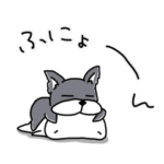 もちまるとイヌ