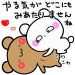 アモーレ♡くまくま