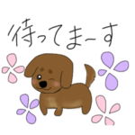 文字入りダックスフント