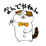 町田尚子の猫スタンプ 白木ピッピ 大阪弁