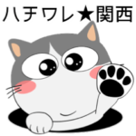 ハチワレ猫★関西