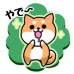 大阪弁の柴犬さん 