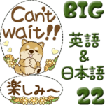 ちゃちゃ丸 22『英語と日本語』