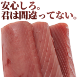 全てを肯定するまぐろ