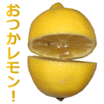 実写！レモン