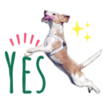 レモンビーグルのLucy2