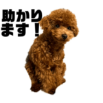 れもん 恵比寿ライフ