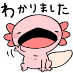 まったりウーパールーパー