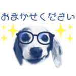 レモンビーグルのLucy3