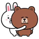 Small Brown & Cony