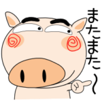 来週も、ブタさん