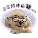 おもしろ可愛いわんちゃん大集合