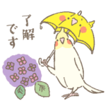 とりちゃんたちの梅雨