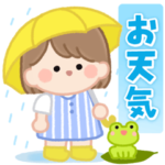 ボブちゃん。夏とお天気。