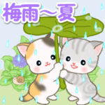 梅雨～夏　ベビーにゃんこ