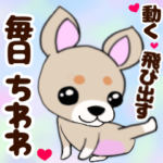 ❤️可愛いチワワ犬の動くポップアップ 2❤️