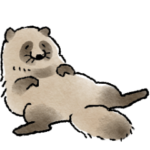 生きろ！タヌキ