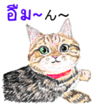 タイ語ニャンズ 5