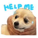 しゅりちん૮꒰˵• ﻌ •˵꒱ა