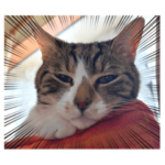 ぴののスタンプ2022