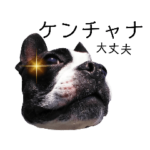 気付けば覚えちゃってる楽チン韓国語