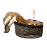 ルゥのスタンプ