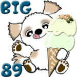 シーズー犬89『梅雨～初夏』