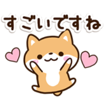 大人のやさしい☆まめシバ