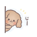 トイプードル すたんぷ