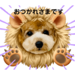 トイプードルのトトロくん