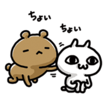 愛しすぎて大好きすぎる。More Answer