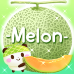 メロンの詰め合わせ