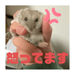 ミーヤキャットスタンプ